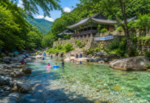 작년엔 못 들어갔던 양산 내원사계곡, 올여름 다시 열린다 천성산 기슭 내원사 아래 맑은 물과 숲그늘이 어우러진 양산 내원사계곡 여름 풍경