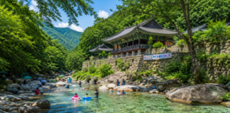 작년엔 못 들어갔던 양산 내원사계곡, 올여름 다시 열린다 천성산 기슭 내원사 아래 맑은 물과 숲그늘이 어우러진 양산 내원사계곡 여름 풍경