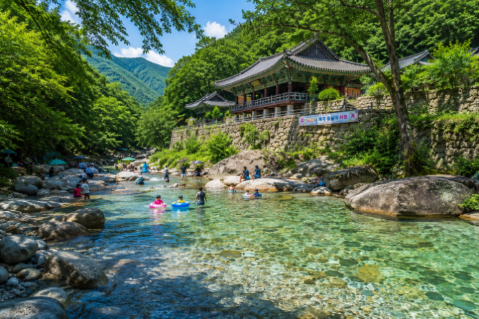 천성산 기슭 내원사 아래 맑은 물과 숲그늘이 어우러진 양산 내원사계곡 여름 풍경