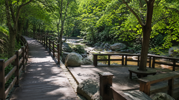 영천 치산계곡 계류 옆 목재 산책로와 쉼터