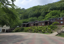 영동 민주지산 자연휴양림, 4인실 3만원에 계곡·숲길 누리는 여름 숙박지 영동 민주지산 자연휴양림의 숲속 숙박동과 울창한 여름 산림
