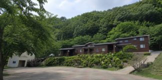 영동 민주지산 자연휴양림의 숲속 숙박동과 울창한 여름 산림