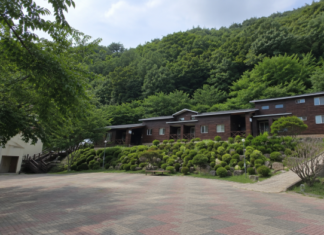 영동 민주지산 자연휴양림의 숲속 숙박동과 울창한 여름 산림