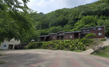 영동 민주지산 자연휴양림의 숲속 숙박동과 울창한 여름 산림