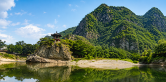 영동 월류봉, 초강천 절벽 따라 걷는 8.4km 여름 둘레길 충북 영동 월류봉과 초강천 위에 비친 월류정의 여름 풍경