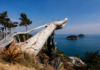 여수예술랜드 마이다스의 손과 남해 바다 전경
