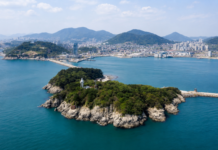 여수 오동도, 768m 방파제 바닷길 따라 배 없이 들어가는 섬 여행 여수 도심 앞바다에 자리한 오동도와 방파제 전경
