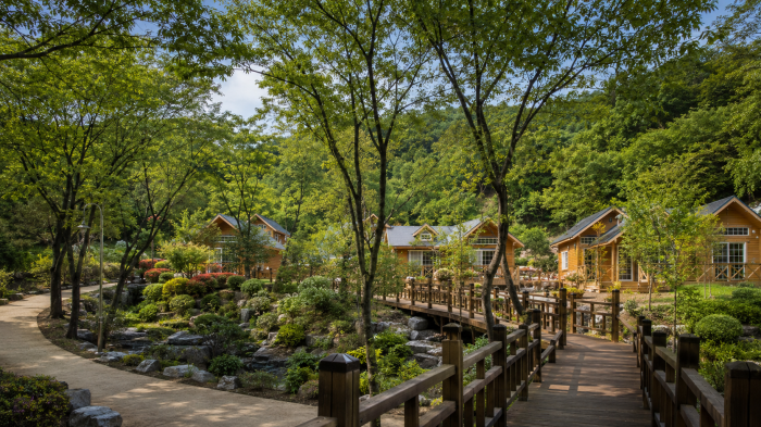 용인자연휴양림 숲속 숙박동과 계곡 산책로 전경