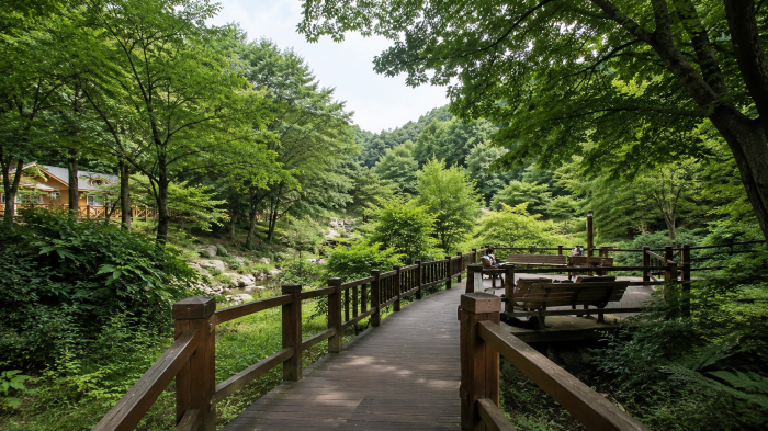 용인자연휴양림 계곡 옆 데크와 숲속 휴식 공간