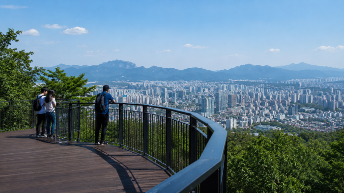 용마산 숲 위로 곡선형으로 이어진 스카이워크 전망 데크