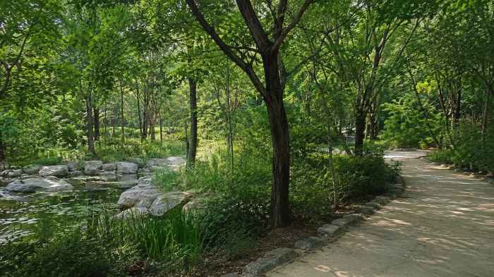 남산 한국숲정원 연못 옆 그늘진 숲길