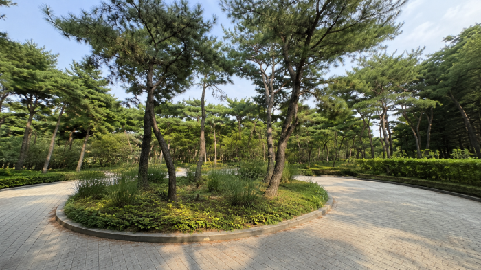 남산 한국숲정원 솔숲원 소나무 군락과 산책로