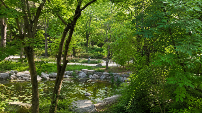 남산 한국숲정원 숲과 연못 사이로 이어지는 산책로