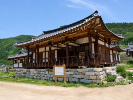 안동 농암종택의 고택과 푸른 산자락이 어우러진 전경