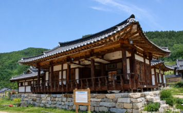 안동 농암종택의 고택과 푸른 산자락이 어우러진 전경