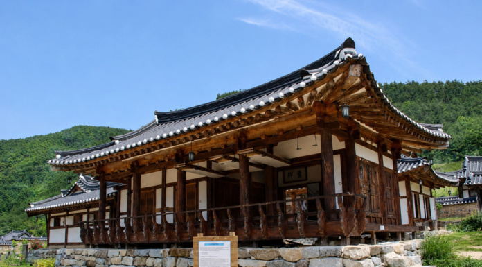 안동 농암종택의 고택과 푸른 산자락이 어우러진 전경