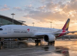 인천국제공항 제1터미널 앞에 서 있는 스타얼라이언스 도장의 아시아나항공 여객기