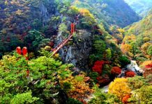 강천산군립공원, 5천 원 내면 2천 원 돌아온다…2.5km 맨발길·10월 애기단풍 가을 단풍 사이로 보이는 순창 강천산군립공원 구름다리
