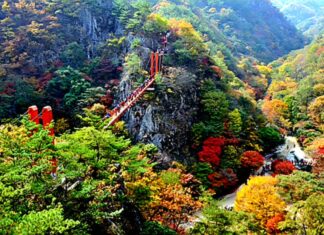 강천산군립공원, 5천 원 내면 2천 원 돌아온다…2.5km 맨발길·10월 애기단풍 가을 단풍 사이로 보이는 순창 강천산군립공원 구름다리