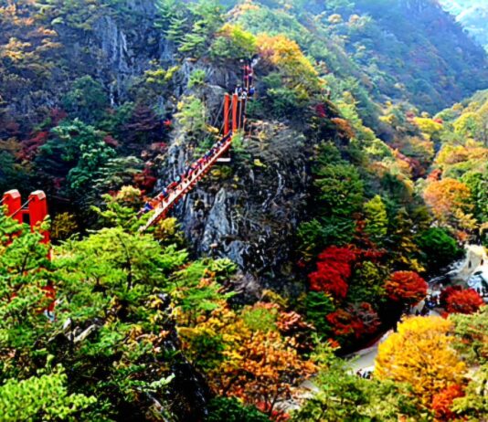 가을 단풍 사이로 보이는 순창 강천산군립공원 구름다리