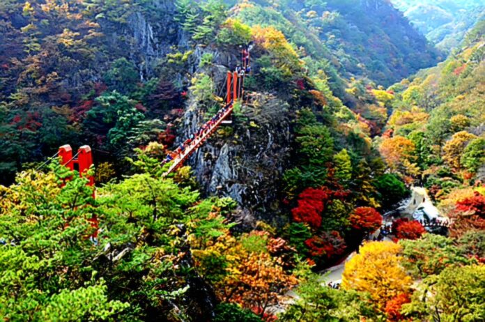 강천산군립공원 가을 구름다리 가을 단풍 사이로 보이는 순창 강천산군립공원 구름다리