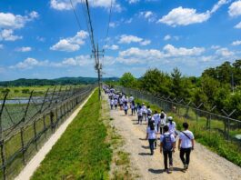 파주 DMZ 평화의 길 민통선 철책길을 따라 걷는 탐방객들