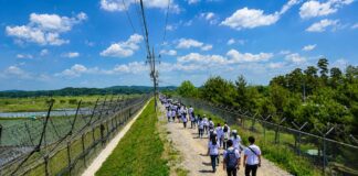 파주 DMZ 평화의 길 민통선 철책길을 따라 걷는 탐방객들