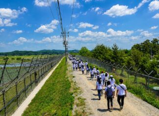 파주 DMZ 평화의 길 9월 2일 다시 열린다…통문 지나 철책길 1.4km 파주 DMZ 평화의 길 민통선 철책길을 따라 걷는 탐방객들