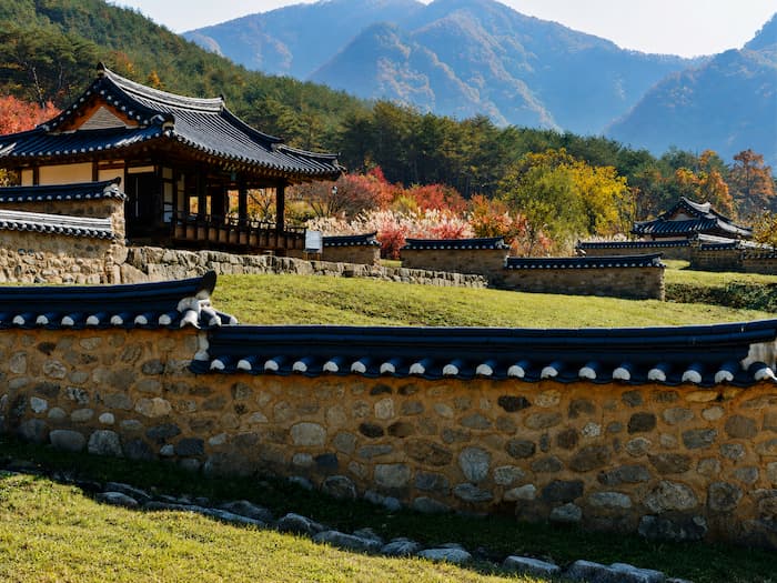 산자락 아래 여러 한옥 건물이 이어지는 안동 농암종택 전경 
