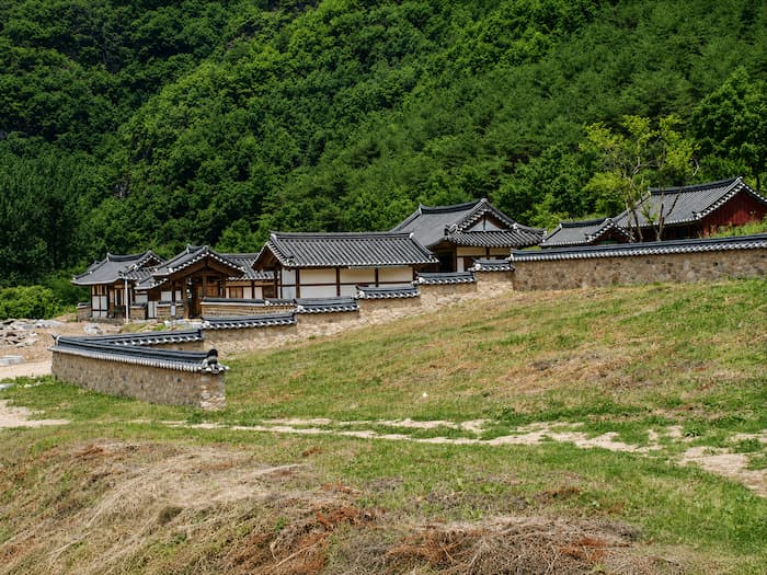 짙은 녹음과 산을 배경으로 자리한 안동 농암종택 한옥