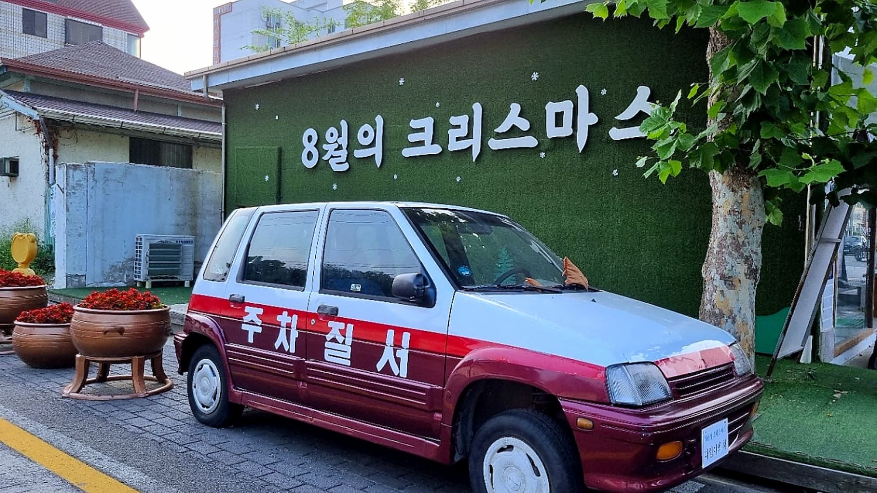 군산 초원사진관 앞 8월의 크리스마스 주차단속 차량