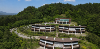 안동호반자연휴양림, 안동호 내려다보며 하룻밤…6인 숲속의집 비수기 6만원 안동호반자연휴양림 숙박동과 숲 전경