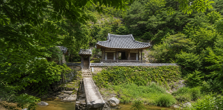 안동 만휴정 정자와 계곡을 건너는 외나무다리 전경