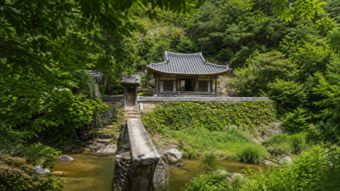 andong-manhyujeong-pavilion-stream-bridge 안동 만휴정 정자와 계곡을 건너는 외나무다리 전경