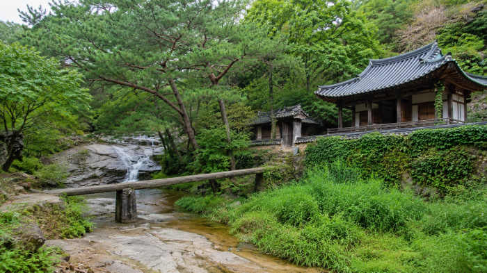 안동 만휴정 앞 계곡과 좁은 외나무다리