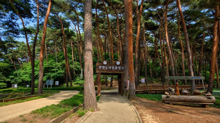안면도자연휴양림 숲속에 자리한 목조 숙박동