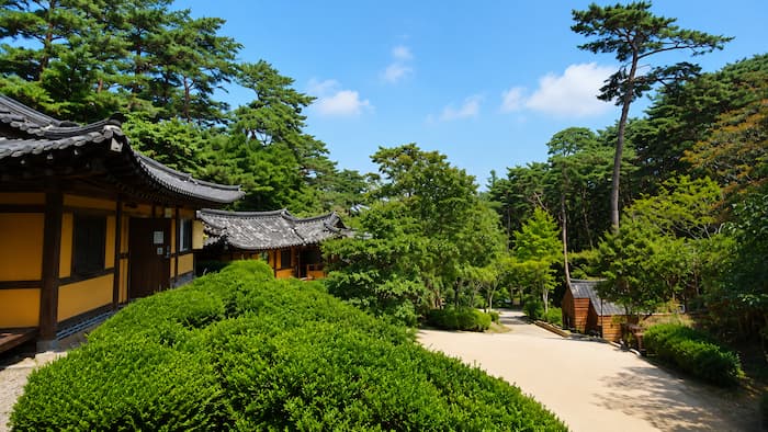 수령 100년 안팎 안면송이 둘러싼 안면도자연휴양림 입구