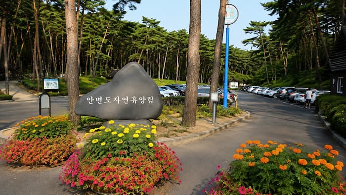 안면도자연휴양림 표지석과 주차장 진입부