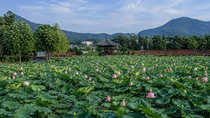 아산 신정호수공원 호수 전망 포토존