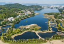 아산 신정호수공원 연꽃정원과 중앙 정자 전경