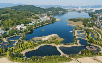 아산 신정호수공원 연꽃정원과 중앙 정자 전경