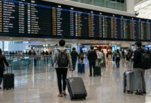 국제공항 출발 안내판 아래에서 항공편을 확인하는 여행객들