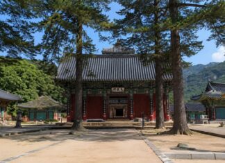 속리산 법주사 금동미륵대불과 팔상전