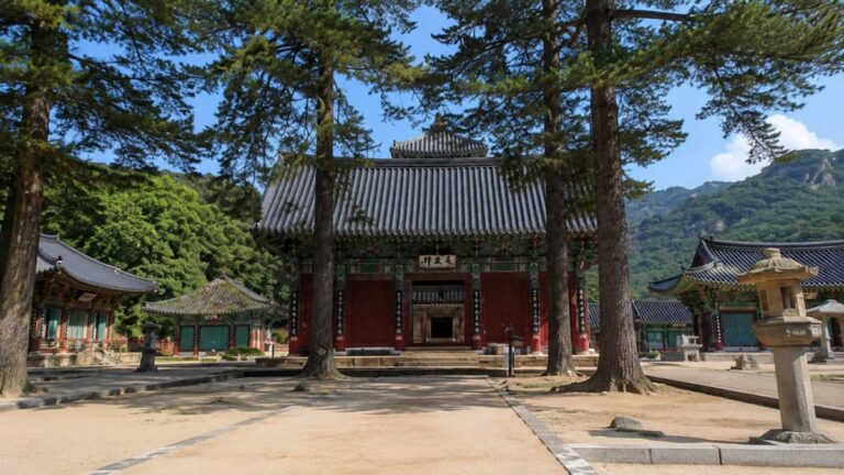 보은 법주사, 국내 유일 5층 목탑이 아직 서 있다…33m 금동미륵대불까지 한자리
