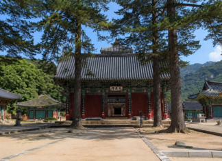 속리산 법주사 금동미륵대불과 팔상전