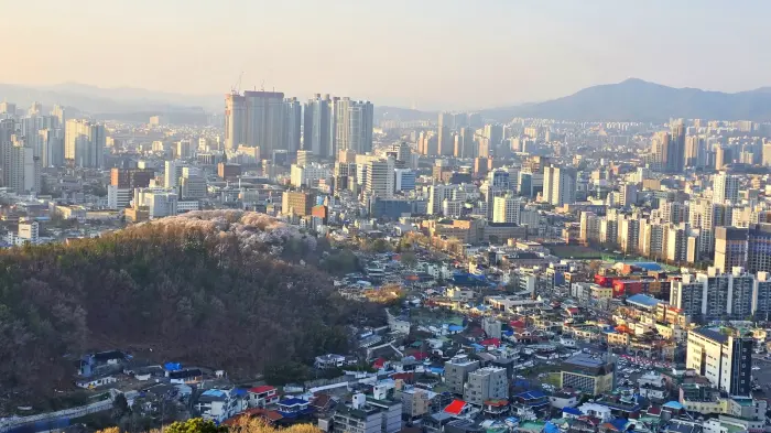 보문산 큰나무 전망대 야외 전망데크