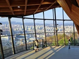 대전 보문산 큰나무 전망대와 원도심 전경