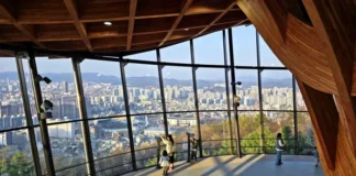 대전 보문산 큰나무 전망대와 원도심 전경