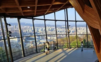 대전 보문산 큰나무 전망대와 원도심 전경