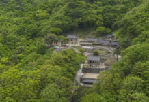 봉화 청량사, 선학정서 0.8km 오르면 청량산 기암절벽 속 천년고찰 봉화 청량산 숲속에 자리한 청량사 전경
